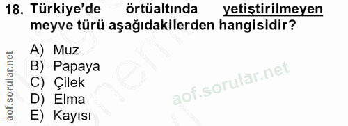 18. soru: Türkiye'de örtüaltında yetiştirilmeyen meyve türü aşağıdakilerden hangisidir? A) Muz B) Papaya C) Çilek D) Elma E) Ka…