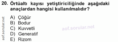 20. soru: Örtüaltı kayısı yetiştiriciliğinde aşağıdaki anaçlardan hangisi kullanılmalıdır? A) Çöğür B) Bodur C) Kuvvetli D) Gen…
