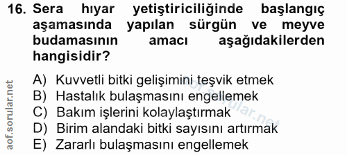 16. soru: Sera hiyar yetiştiriciliğinde başlangıç aşamasında yapılan sürgün ve meyve budamasının amacı aşağıdakilerden hangisid…