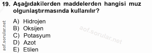 19. soru: Aşağıdakilerden maddelerden hangisi muz olgunlaştırmasında kullanılır? A) Hidrojen B) Oksijen C) Potasyum D) Azot E)…