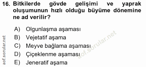 16. soru: Bitkilerde gövde gelişimi ve yaprak oluşumunun hızlı olduğu büyüme dönemine ne ad verilir? A) Olgunlaşma aşaması lar.…