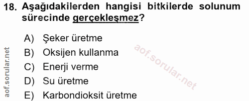 18. soru: Aşağıdakilerden hangisi bitkilerde solunum sürecinde gerçekleşmez? A) Şeker üretme B) Oksijen kullanma C) Enerji verm…
