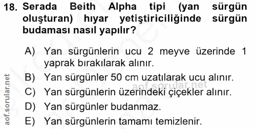 18. soru: Serada Beith Alpha tipi (yan sürgün oluşturan) hıyar yetiştiriciliğinde sürgün budaması nasıl yapılır? A) Yan sürgünl…