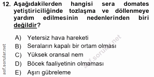 12. soru: Aşağıdakilerden hangisi sera domates yetiştiriciliğinde tozlaşma ve döllenmeye yardım edilmesinin nedenlerinden biri…