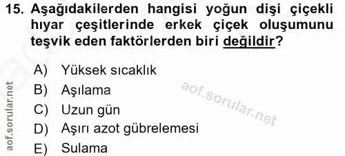 15. soru: Aşağıdakilerden hangisi yoğun dişi çiçekli hıyar çeşitlerinde erkek çiçek oluşumunu teşvik eden faktörlerden biri değ…