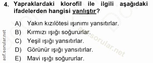 4. soru: Yapraklardaki klorofil ile ilgili aşağıdaki ifadelerden hangisi yanlıştır? A) Yakın kızılötesi ışınımı yansıtırlar. B…