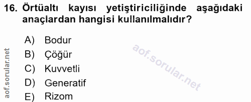 16. soru: Örtüaltı kayısı yetiştiriciliğinde aşağıdaki anaçlardan hangisi kullanılmalıdır? A) Bodur B) Çöğür C) Kuvvetli D) Gen…
