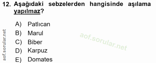 12. soru: Aşağıdaki sebzelerden hangisinde aşılama yapılmaz? A) Patlıcan B) Marul C) Biber D) Karpuz E) Domates