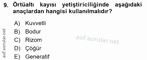 9. soru: Örtüaltı kayısı yetiştiriciliğinde aşağıdaki anaçlardan hangisi kullanılmalıdır? A) Kuvvetli B) Bodur C) Rizom D) Çög…