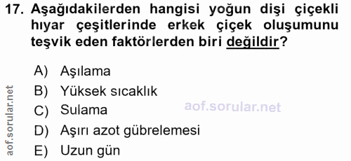 17. soru: Aşağıdakilerden hangisi yoğun dişi çiçekli hıyar çeşitlerinde erkek çiçek oluşumunu teşvik eden faktörlerden biri değ…
