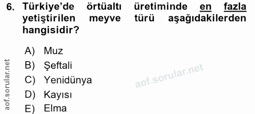 6. soru: Türkiye'de örtüaltı üretiminde en fazla yetiştirilen meyve türü aşağıdakilerden hangisidir? A) Muz B) Şeftali C) Yeni…