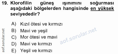 19. soru: Klorofilin güneş işınımını soğurması aşağıdaki bölgelerden hangisinde en yüksek seviyededir? A) Kızıl ötesi ve kırmız…