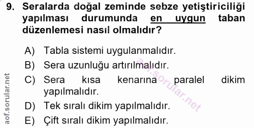9. soru: Seralarda doğal zeminde sebze yetiştiriciliği yapılması durumunda en uygun taban düzenlemesi nasıl olmalıdır? A) Tabl…