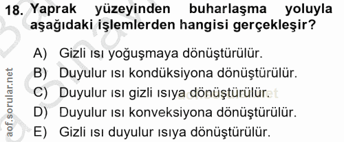 18. soru: Yaprak yüzeyinden buharlaşma yoluyla aşağıdaki işlemlerden hangisi gerçekleşir? A) Gizli ısı yoğuşmaya dönüştürülür.…