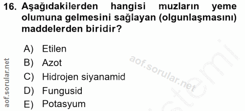16. soru: Aşağıdakilerden hangisi muzların yeme olumuna gelmesini sağlayan (olgunlaşmasını) maddelerden biridir? A) Etilen B) A…