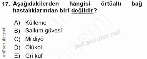 17. soru: Aşağıdakilerden hangisi Örtüaltı bağ hastalıklarından biri değildir? A) Külleme B) Salkım güvesi C) Mildiyö D) Ölükol…