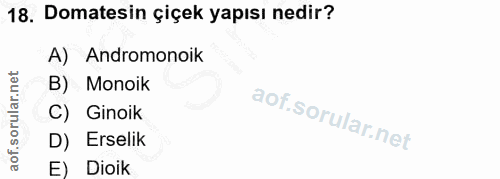 18. soru: Domatesin çiçek yapısı nedir? A) Andromonoik B) Monoik C) Ginoik D) Erselik E) Dioik