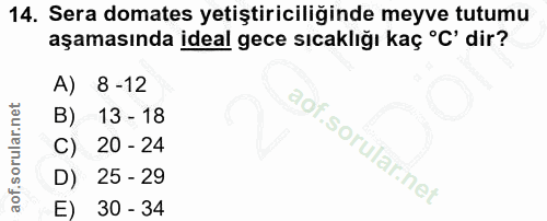14. soru: Sera domates yetiştiriciliğinde meyve tutumu aşamasında ideal gece sıcaklığı kaç °C' dir? A) 8 -12 B) 13 - 18 aof.sor…