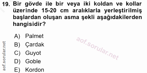 19. soru: Bir gövde ile bir veya iki koldan ve kollar üzerinde 15-20 cm aralıklarla yerleştirilmiş başlardan oluşan asma şekli…
