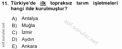 11. soru: Türkiye'de ilk topraksız tarım işletmeleri hangi ilde kurulmuştur? A) Antalya B) Muğla C) Izmir D) Aydın E) Ankara
