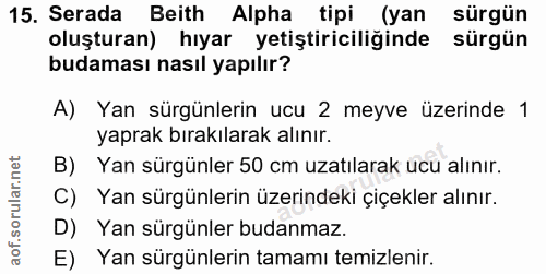 15. soru: Serada Beith Alpha tipi (yan sürgün oluşturan) hıyar yetiştiriciliğinde sürgün budaması nasıl yapılır? A) Yan sürgünl…