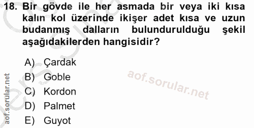 18. soru: Bir gövde ile her asmada bir veya iki kısa kalın kol üzerinde ikişer adet kısa ve uzun budanmış dalların bulunduruldu…