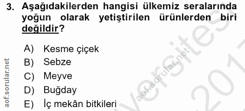 3. soru: Aşağıdakilerden hangisi ülkemiz seralarında yoğun olarak yetiştirilen ürünlerden biri değildir? A) Kesme çiçek B) Seb…