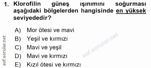 1. soru: Klorofilin güneş işınımını soğurması aşağıdaki bölgelerden hangisinde en yüksek seviyededir? A) Mor ötesi ve mavi B)…