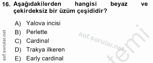 16. soru: Aşağıdakilerden hangisi beyaz ve çekirdeksiz bir üzüm çeşididir? A) Yalova incisi B) Perlette C) Cardinal aof.sorular…
