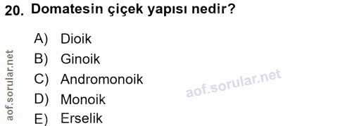 20. soru: Domatesin çiçek yapısı nedir? A) Dioik rular.net B) Ginoik C) Andromonoik aof.s D) Monoik E) Erselik