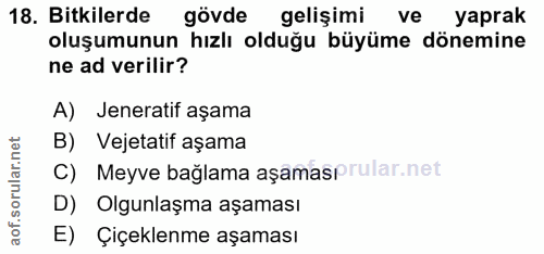 18. soru: Bitkilerde gövde gelişimi ve yaprak oluşumunun hızlı olduğu büyüme dönemine ne ad verilir? A) Jeneratif aşama B) Veje…