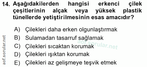 14. soru: Aşağıdakilerden hangisi erkenci çilek çeşitlerinin alçak veya yüksek plastik tünellerde yetiştirilmesinin esas amacıd…