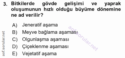 3. soru: Bitkilerde gövde gelişimi ve yaprak oluşumunun hızlı olduğu büyüme dönemine ne ad verilir? A) Jeneratif aşama B) Meyv…