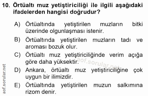 10. soru: Örtüaltı muz yetiştiriciliği ile ilgili aşağıdaki ifadelerden hangisi doğrudur? A) Örtüaltında yetiştirilen muzların…