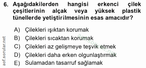 6. soru: Aşağıdakilerden hangisi erkenci çilek çeşitlerinin alçak veya yüksek plastik tünellerde yetiştirilmesinin esas amacıd…