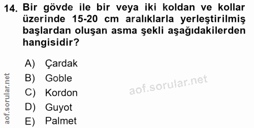 14. soru: Bir gövde ile bir veya iki koldan ve kollar üzerinde 15-20 cm aralıklarla yerleştirilmiş başlardan oluşan asma şekli…