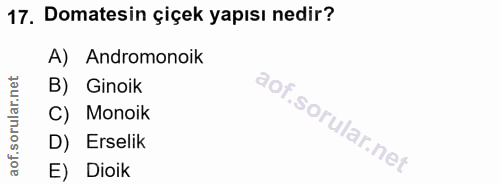 17. soru: Domatesin çiçek yapısı nedir? A) Andromonoik B) Ginoik C) Monoik D) Erselik E) Dioik