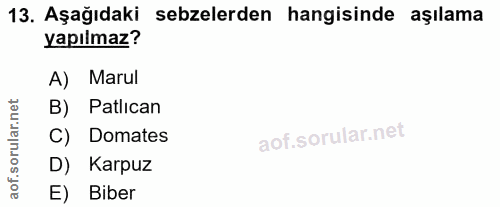 13. soru: Aşağıdaki sebzelerden hangisinde aşılama yapılmaz? A) Marul rular.net B) Patlican C) Domates D) Karpuz aof. E) Biber