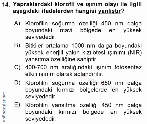 14. soru: Yapraklardaki klorofil ve ışınım olayı ile ilgili aşağıdaki ifadelerden hangisi yanlıştır? A) Klorofilin soğurma özel…