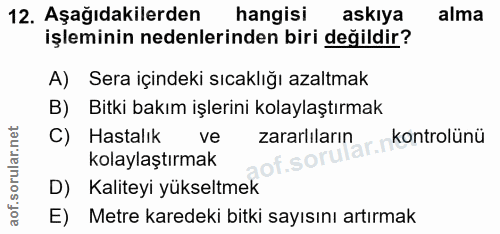 12. soru: Aşağıdakilerden hangisi askıya alma işleminin nedenlerinden biri değildir? A) Sera içindeki sıcaklığı azaltmak B) Bit…