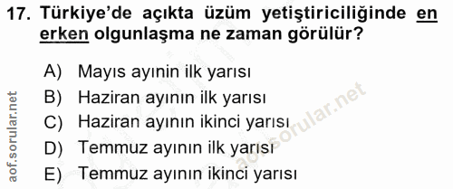 17. soru: Türkiye'de açıkta üzüm yetiştiriciliğinde en erken olgunlaşma ne zaman görülür? A) Mayıs ayınin ilk yarısı B) Haziran…