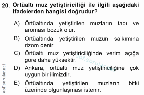 20. soru: Örtüaltı muz yetiştiriciliği ile ilgili aşağıdaki ifadelerden hangisi doğrudur? A) Örtüaltında yetiştirilen muzların…