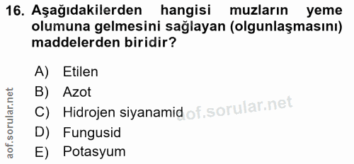 16. soru: Aşağıdakilerden hangisi muzların yeme olumuna gelmesini sağlayan (olgunlaşmasını) maddelerden biridir? A) Etilen B) A…