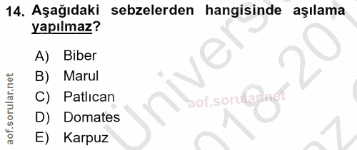 14. soru: Aşağıdaki sebzelerden hangisinde aşılama yapılmaz? A) Biber B) Marul C) Patlıcan aof.sorulad D) Domates E) Karpuz
