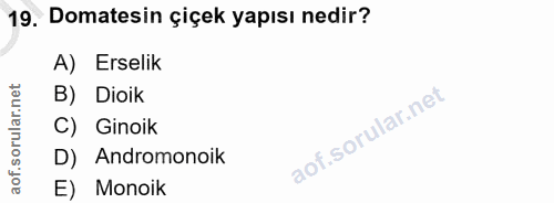 19. soru: Domatesin çiçek yapısı nedir? A) Erselik B) Dioik C) Ginoik D) Andromonoik E) Monoik