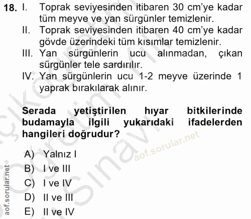 18. soru: I. Toprak seviyesinden itibaren 30 cm'ye kadar tüm meyve ve yan sürgünler temizlenir. II. Toprak seviyesinden itibare…
