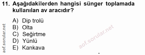 11. soru: Aşağıdakilerden hangisi sünger toplamada kullanılan av aracıdır? A) Dip trolü B) Olta C) Seğirtme D) Yünlü E) Kankava