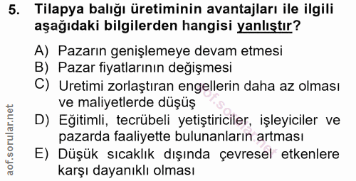 5. soru: Tilapya balığı üretiminin avantajları ile ilgili aşağıdaki bilgilerden hangisi yanlıştır? A) Pazarın genişlemeye deva…