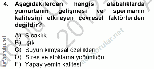 4. soru: Aşağıdakilerden hangisi alabalıklarda yumurtanın gelişmesi ve spermanın kalitesini etkileyen çevresel faktörlerden de…