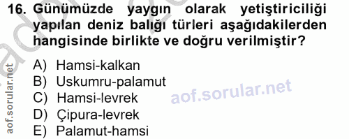 16. soru: Günümüzde yaygın olarak yetiştiriciliği yapılan deniz balığı türleri aşağıdakilerden hangisinde birlikte ve doğru ver…
